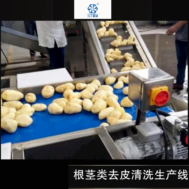 根莖類(lèi)去皮清洗生產(chǎn)線(xiàn)