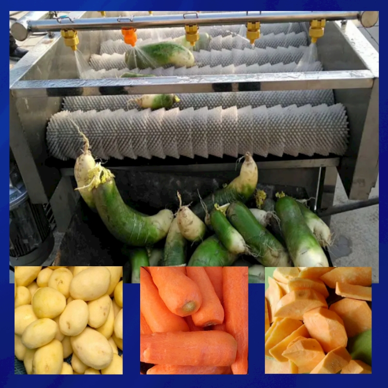 根莖類(lèi)去皮清洗生產(chǎn)線(xiàn)